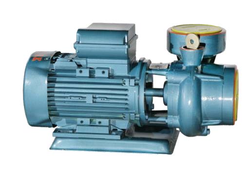 Domak Slg2 0.5 Hp 220v Su Pompası