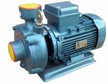Domak Slg1-2 K 1.5 Hp 220v Su Pompası